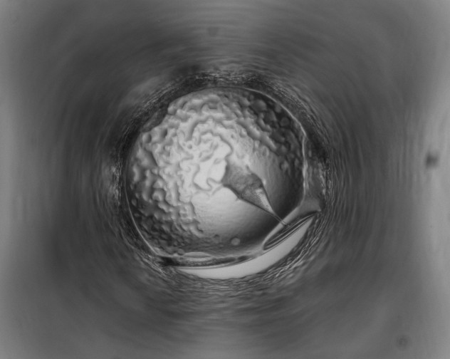 X0000097991010200804021003