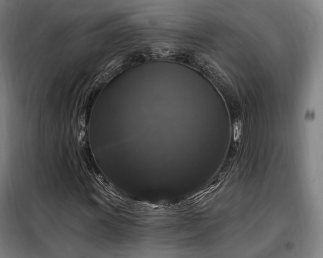 X0000097991011200804021003