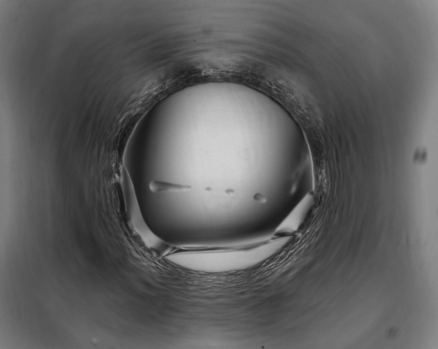 X0000097991012200804021003