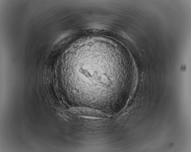 X0000097991014200804021003