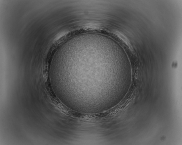 X0000097991015200804021004