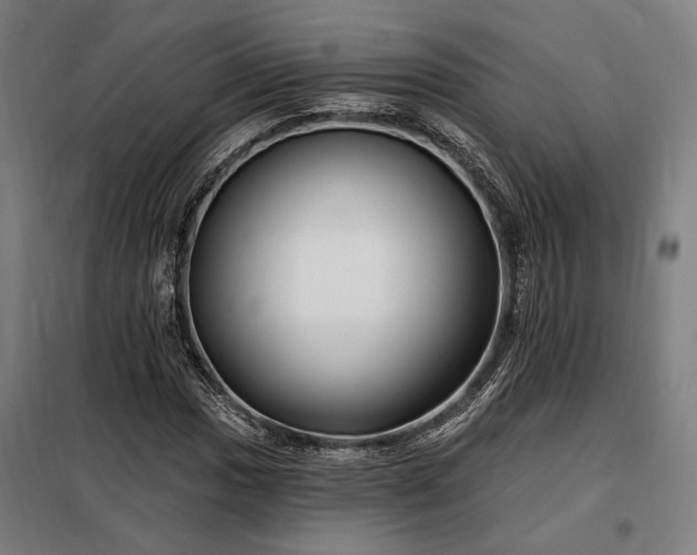 X0000097991017200804021004