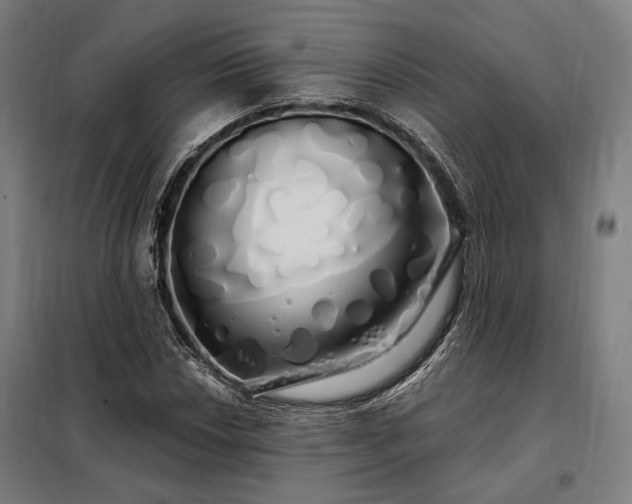 X0000097991018200804021004