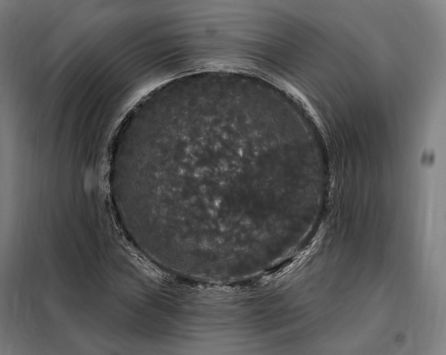 X0000097991019200804021004
