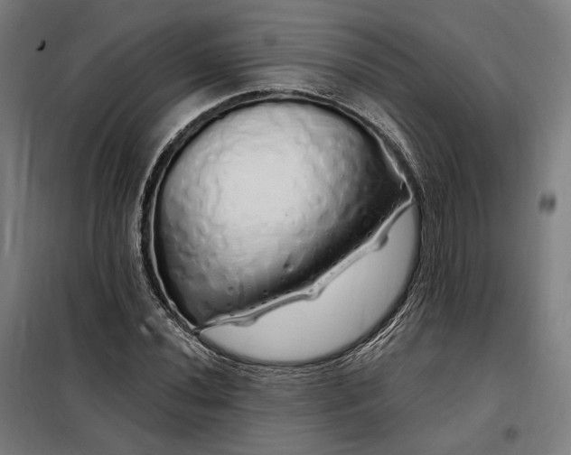 X0000097991020200804021004