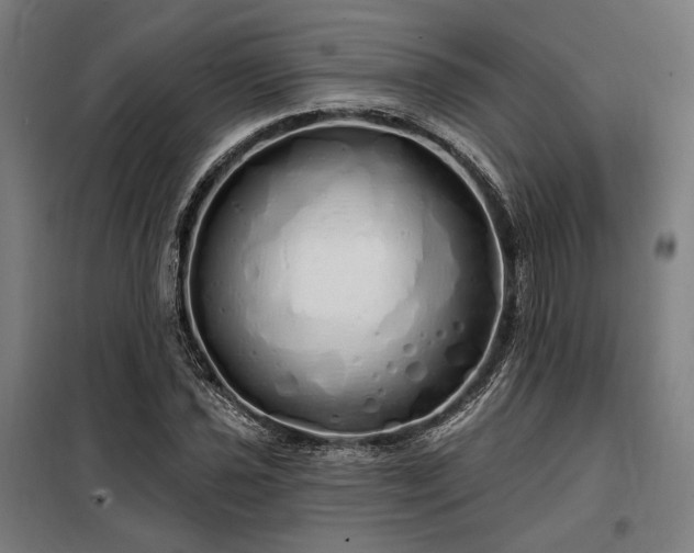 X0000097991021200804021004