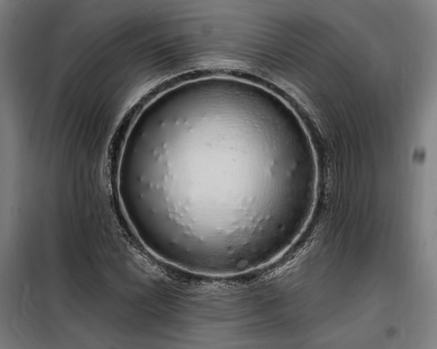 X0000097991022200804021004