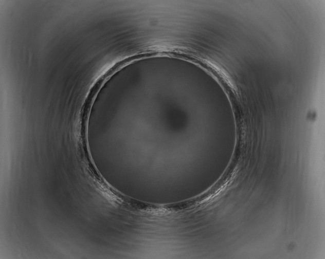 X0000097991023200804021004