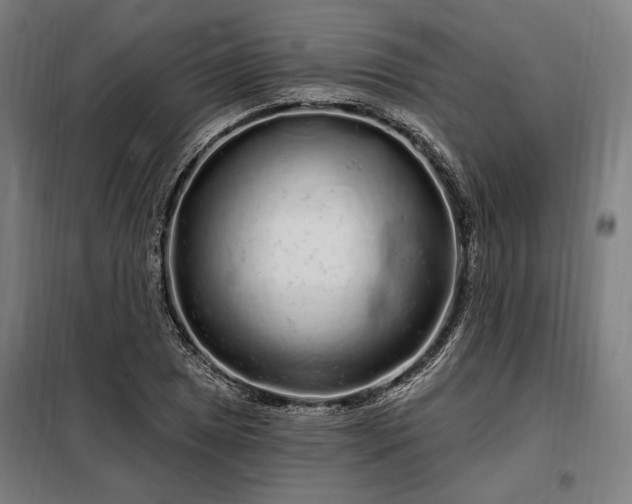 X0000097991025200804021004