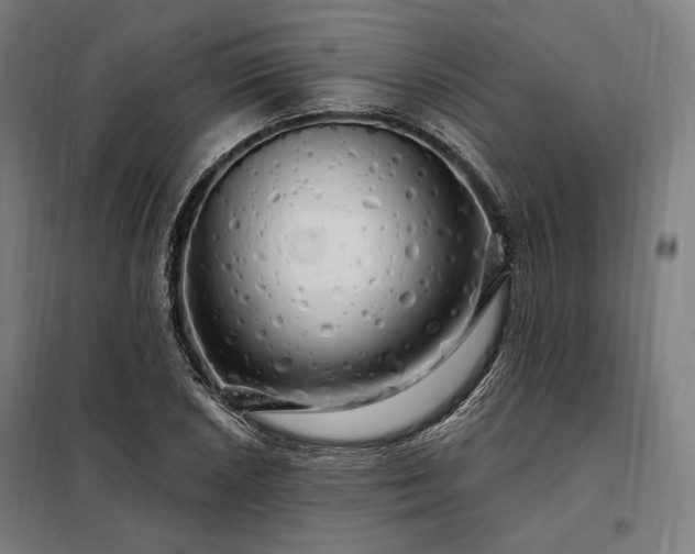 X0000097991026200804021004