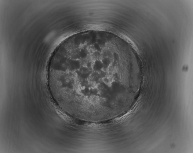 X0000097991027200804021004