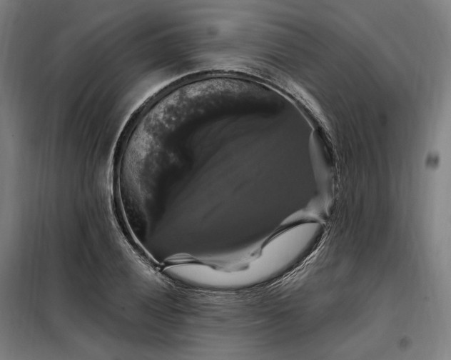 X0000097991028200804021004