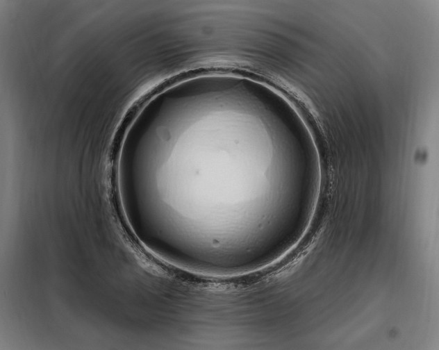 X0000097991029200804021004