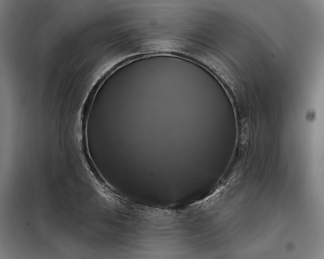 X0000097991031200804021004