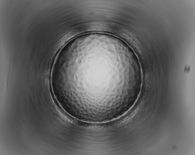 X0000097991033200804021004