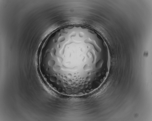 X0000097991034200804021004