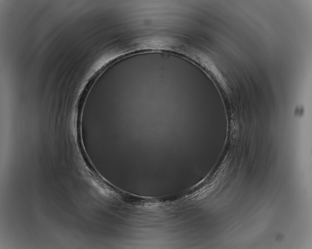 X0000097991035200804021004
