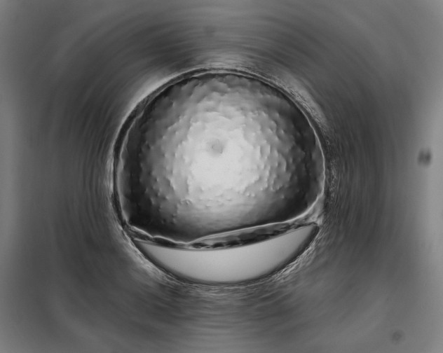 X0000097991036200804021004
