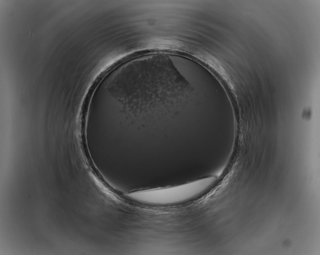 X0000097991037200804021004