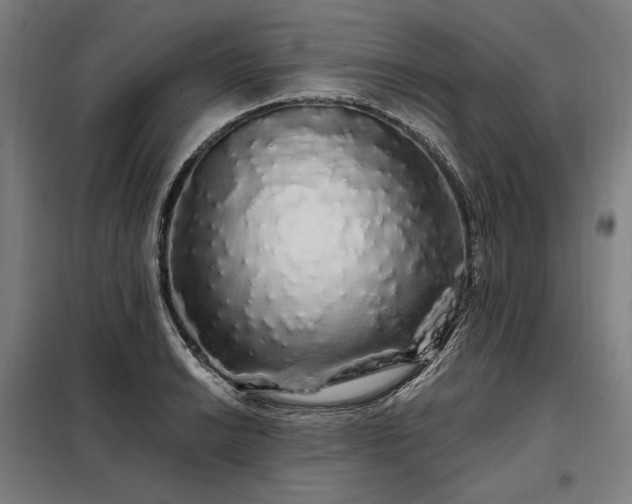 X0000097991038200804021004