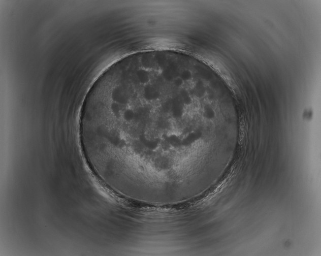 X0000097991039200804021004