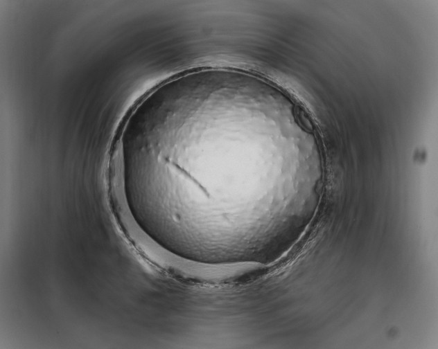 X0000097991040200804021004