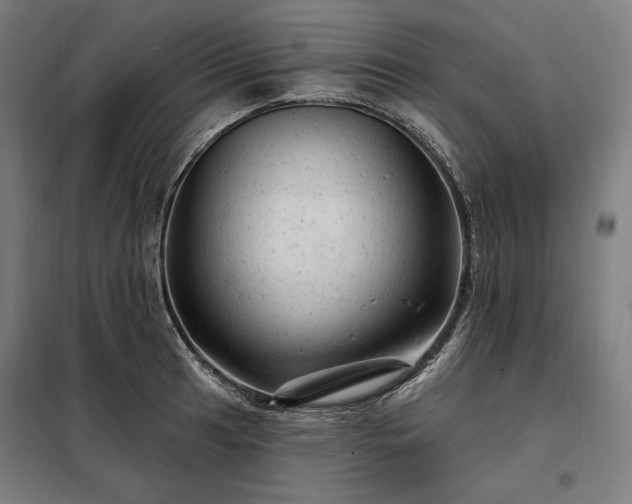X0000097991041200804021004