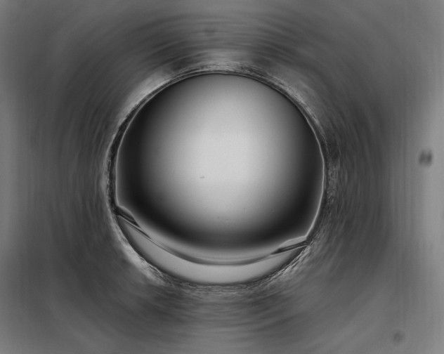 X0000097991042200804021004