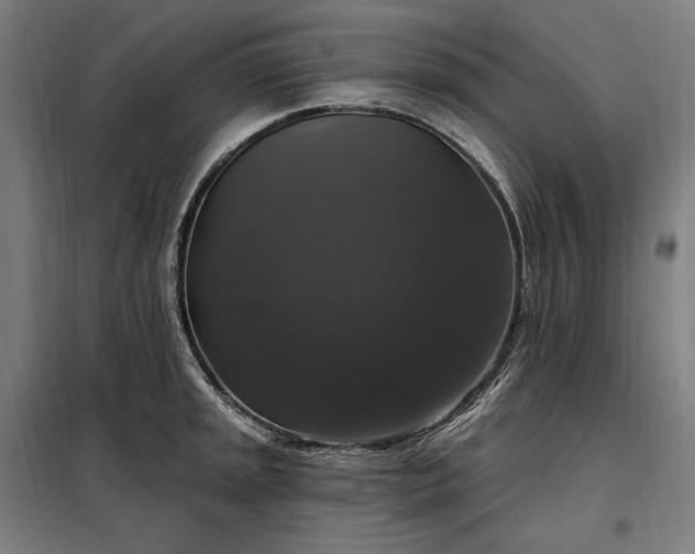 X0000097991045200804021004