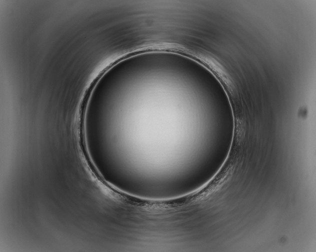 X0000097991046200804021004