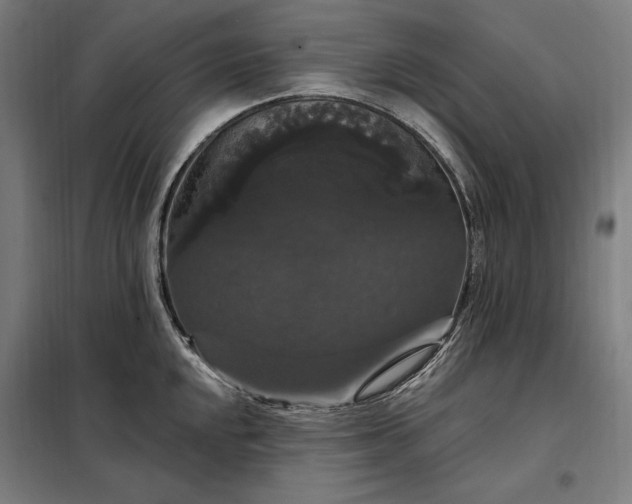 X0000097991048200804021004
