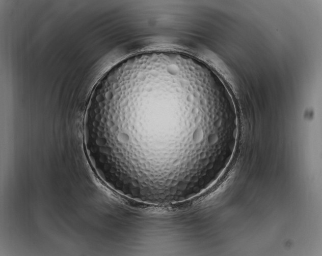 X0000097991049200804021004