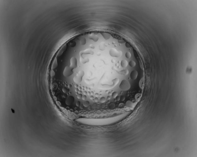 X0000097991050200804021004