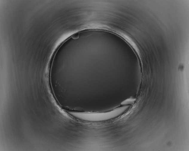 X0000097991053200804021004