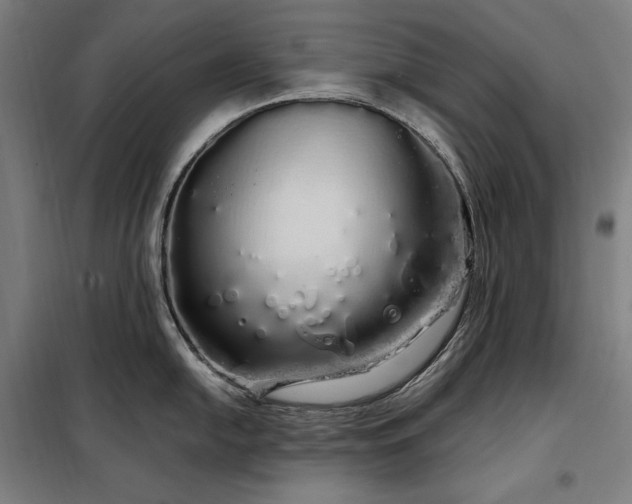 X0000097991054200804021004