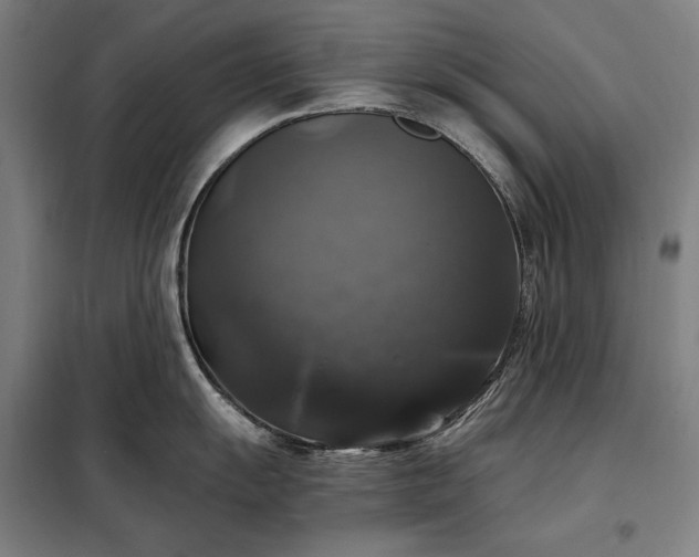 X0000097991055200804021004