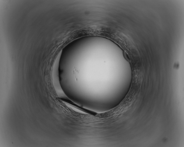 X0000097991057200804021003