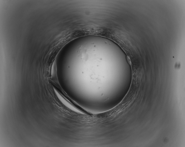 X0000097991058200804021003