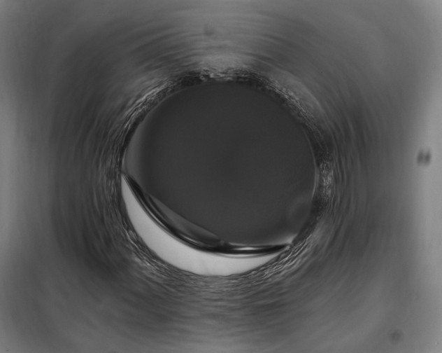 X0000097991060200804021003