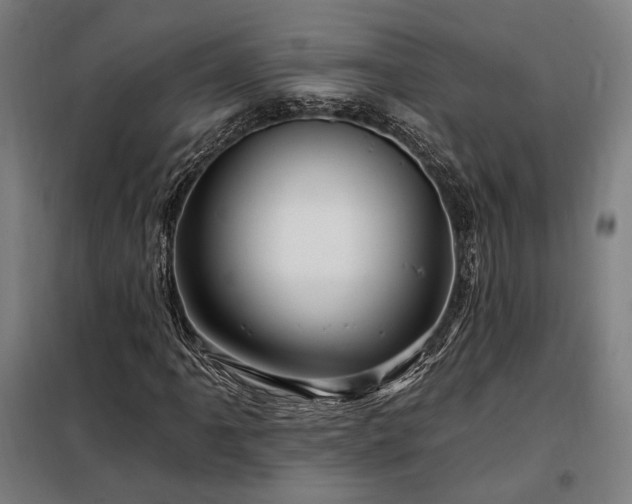 X0000097991061200804021003
