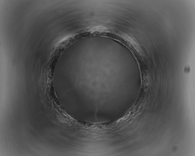 X0000097991063200804021003