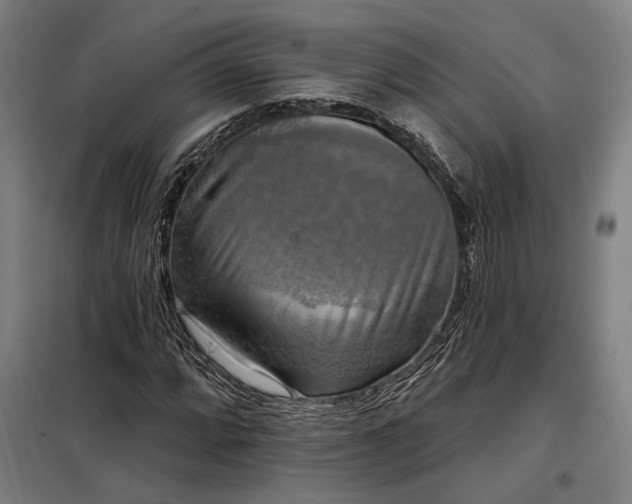 X0000097991064200804021003
