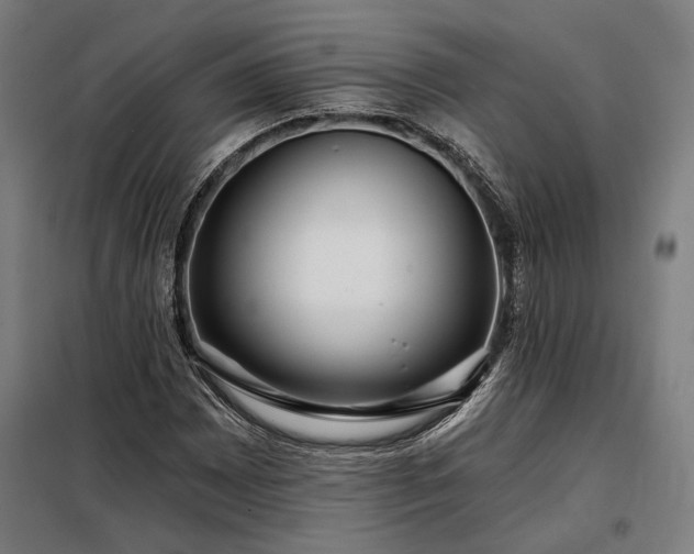 X0000097991065200804021003