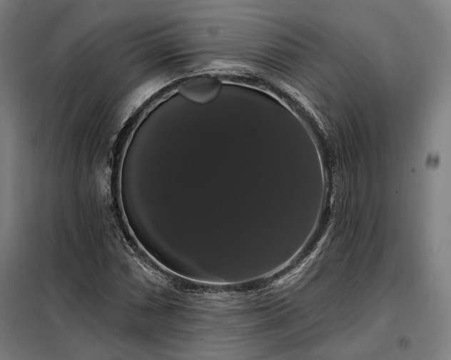 X0000097991066200804021003