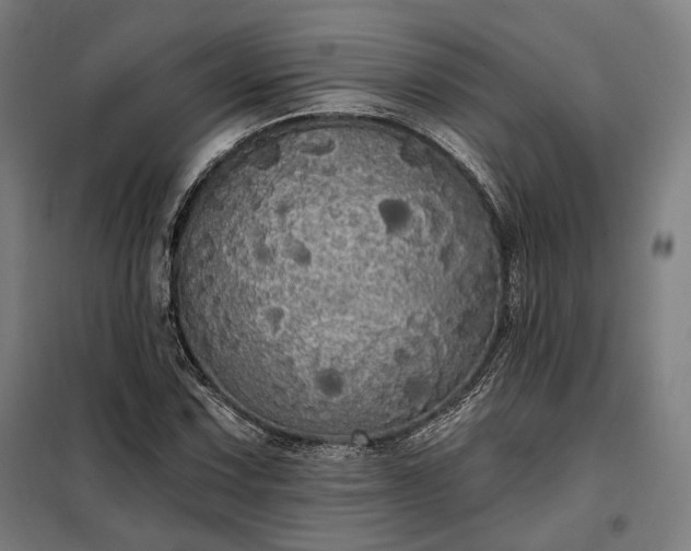 X0000097991067200804021003