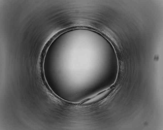 X0000097991068200804021003