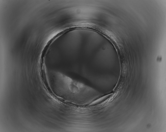 X0000097991071200804021003