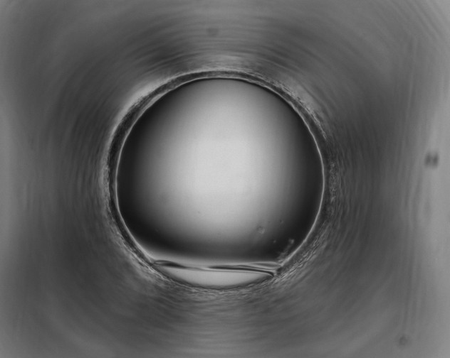 X0000097991072200804021003