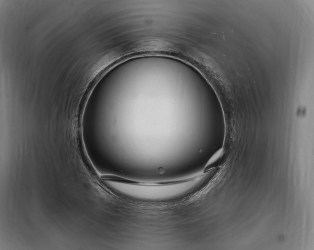 X0000097991073200804021003