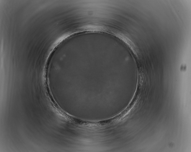 X0000097991074200804021003